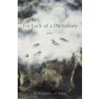 For Lack of a Dictionary